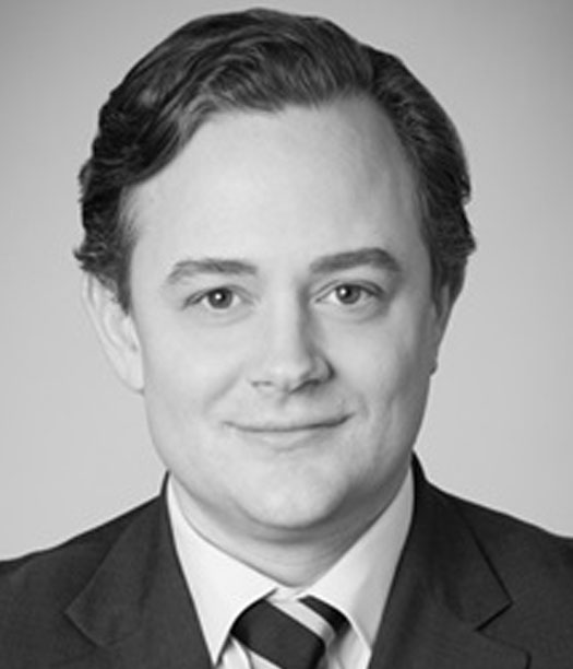 Robert J. Lemons